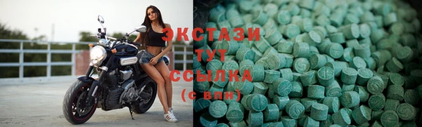 ECSTASY Богданович